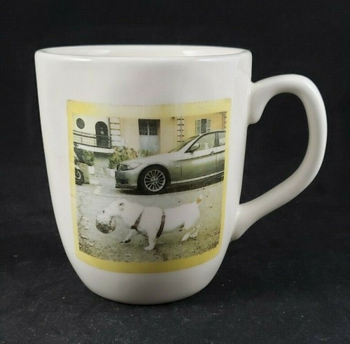 Tazza per cani - , rae